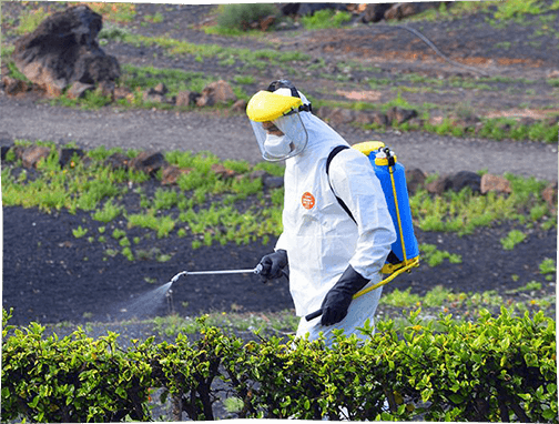 Pesticides: the current state of play