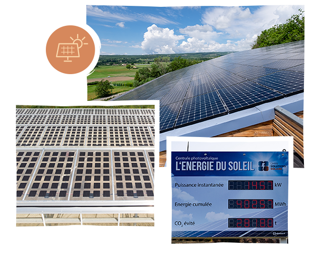 7 Energie verte