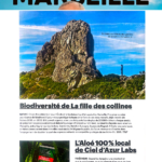 2508 - Vivre Marseille