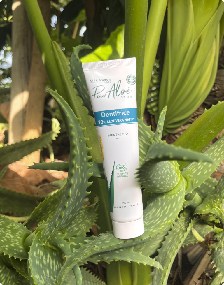 dentifrice
